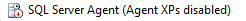Agent XPs.png