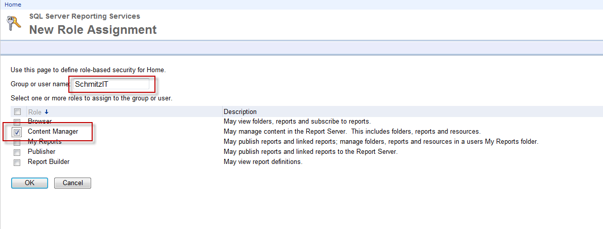 SSRS rsAccessDenied3.png